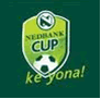 Nedbank Cup